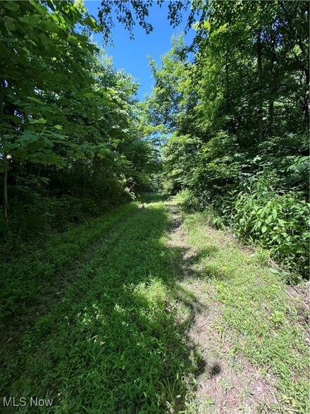 0 Ohio 555 Unit 69.592 acres 5082241, Chesterhill, OH 43728