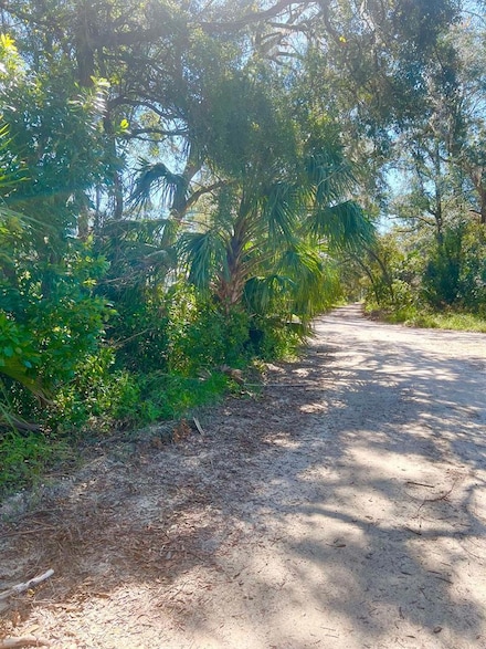 Lot 15 NW 110th Ave, Chiefland, FL 32626