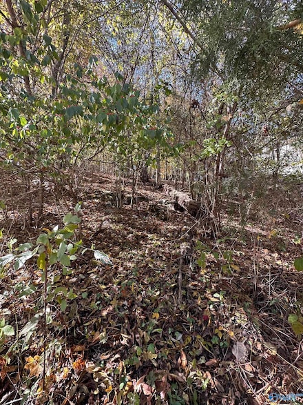 4620 Legacy Preserve Way SE, Brownsboro, AL 35741