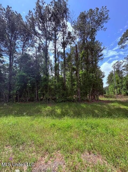 0 Us Highway 98, Hattiesburg, MS 39401