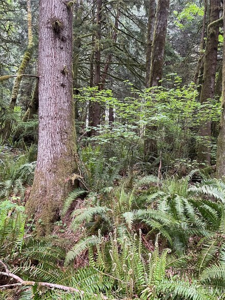 251 Lot 007 Woods Creek Rd, Snohomish, WA 98290