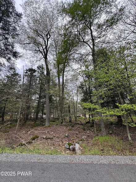 32 Old Silvermine Trail, Pocono Springs, PA 18424