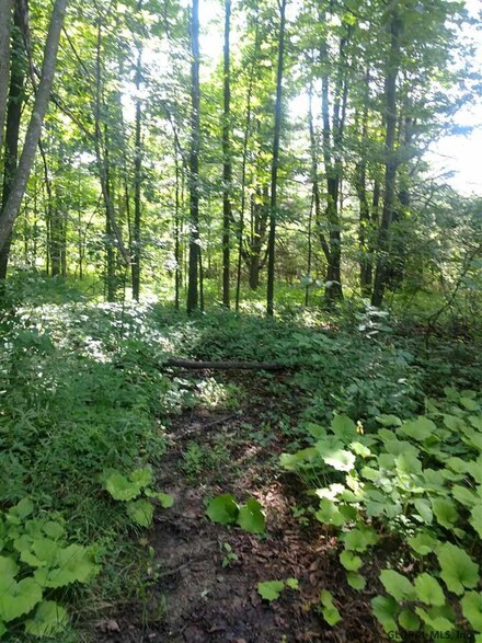 146 Gray Rd, Altamont, NY 12009