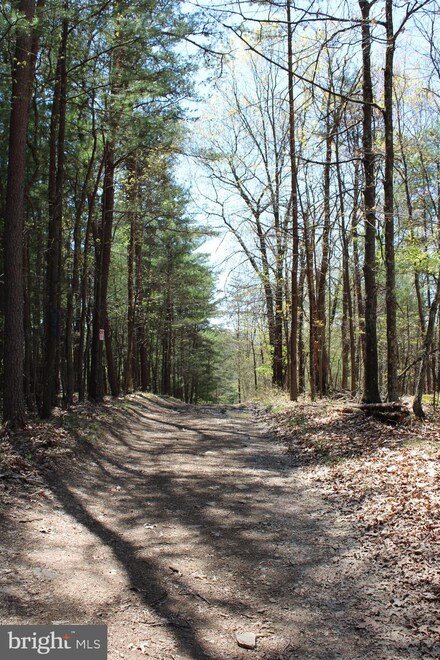 0 Crossover Rd N Unit MDAL136722, Flintstone, MD 21530