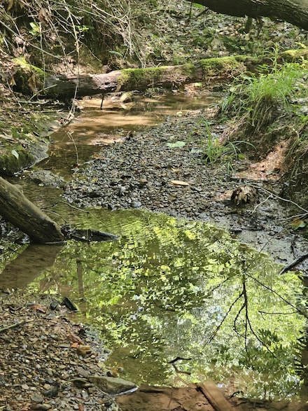 6929 Paint Creek Rd, Kingston, WV 25917