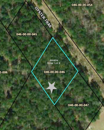 Lot 9 Jessica Dr, Williston, SC 29853