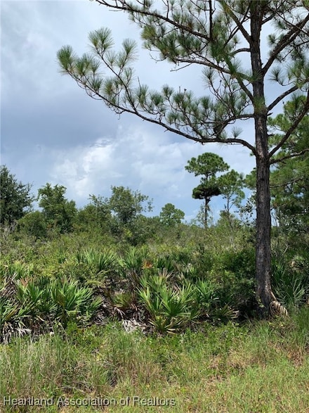 225 Tomahawk St NW, Lake Placid, FL 33852
