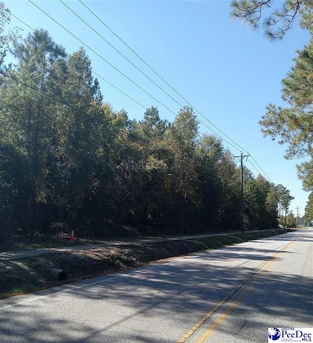 0 E Old Marion Hwy Unit 20244162, Florence, SC 29506