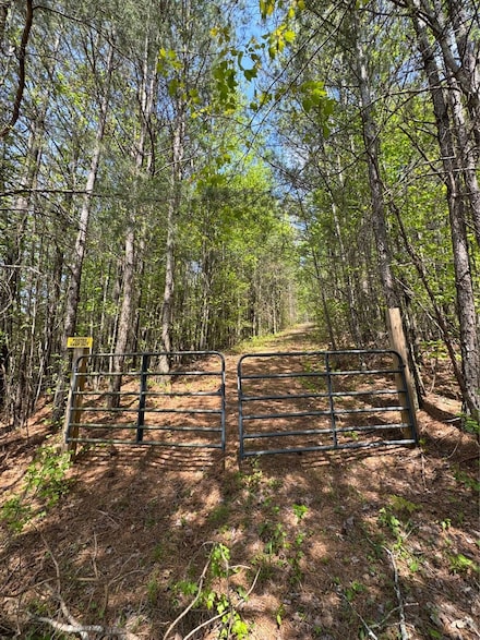 0 Bryant Farm Ln Unit LotWP001 23289587, Ellijay, GA 30540