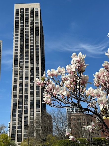 2650 N Lakeview Ave Unit 3904, Chicago, IL 60614