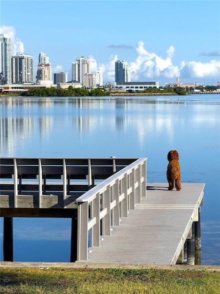 377 22nd Ave SE, Saint Petersburg, FL 33705