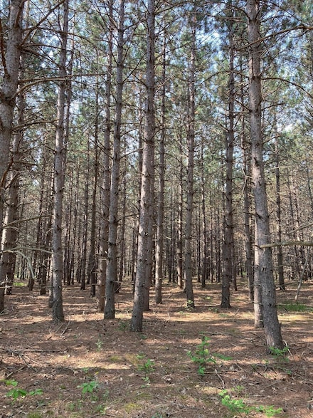 LOT 6 Fawn Lake Rd, Breezy Point, MN 56442