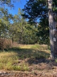 213 Melrose Rd, Sardis, MS 38666