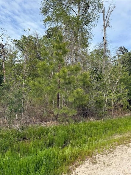 TBD Odra Pritchard Leteff Rd, Independence, LA 70443