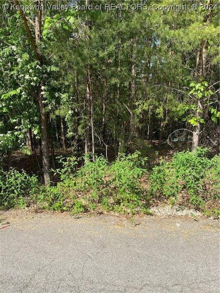 0 Redwood Ln Unit 270628, Elkview, WV 25071