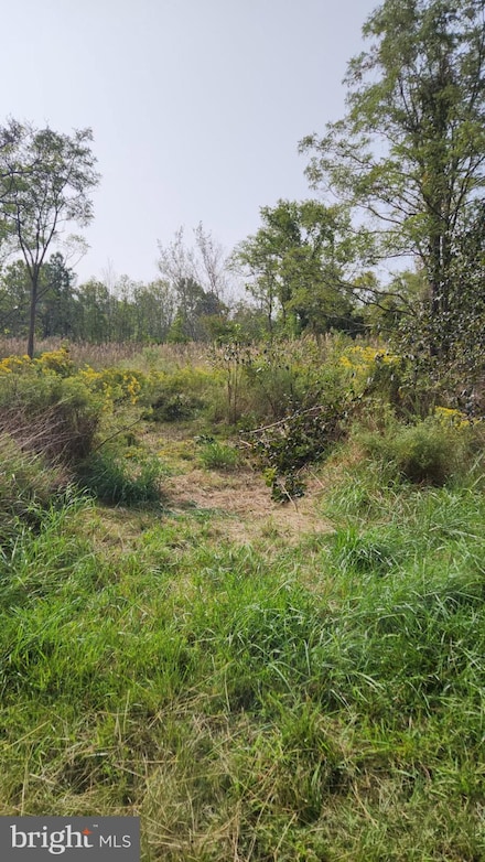 0 Riley Roberts Rd, Deal Island, MD 21821