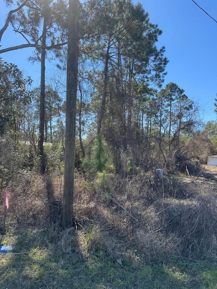 806 NE 3rd St, Carrabelle, FL 32322