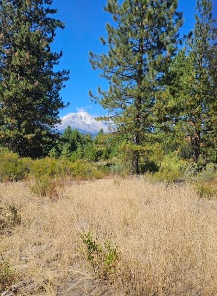 9 Parkside Ct, McCloud, CA 96057