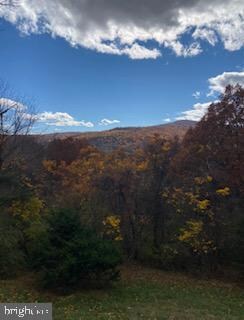 221 Wealthy Rd, Linden, VA 22642