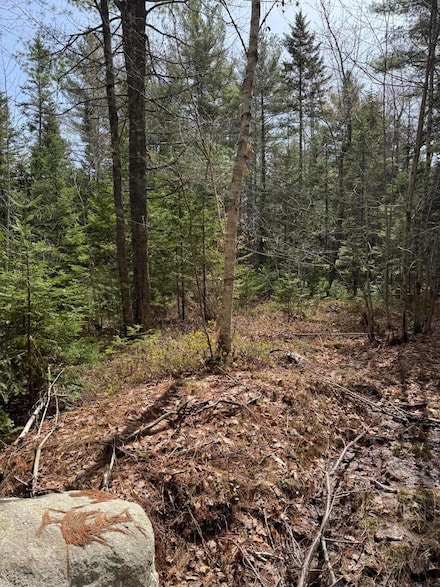 18-B Back Pasture Ln, Blue Hill, ME 04614