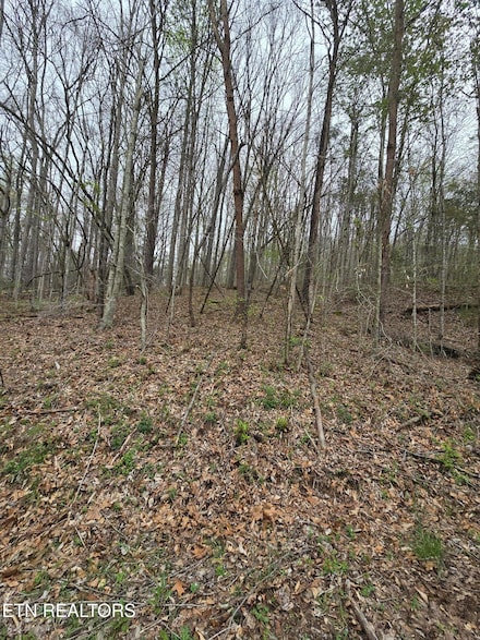 Lots 8 & 9 Rainbow Ln, Lafollette, TN 37766