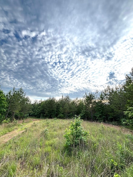 + - 61 Acres Unit Attala County MS, Kosciusko, MS 39090