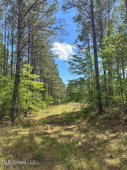 2078 Little Rock Rd, Crystal Springs, MS 39059