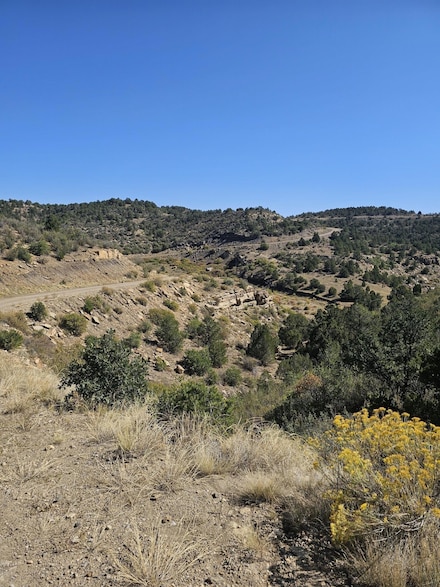 0 San Juan Mesa Dr Unit 1 24-1140, Trinidad, CO 81082