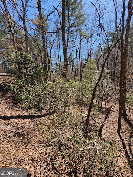 0 Etowah Dr Unit 10490587, Ellijay, GA 30540