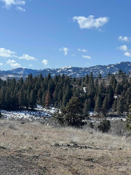 3896 Idaho 71, Cambridge, ID 83610