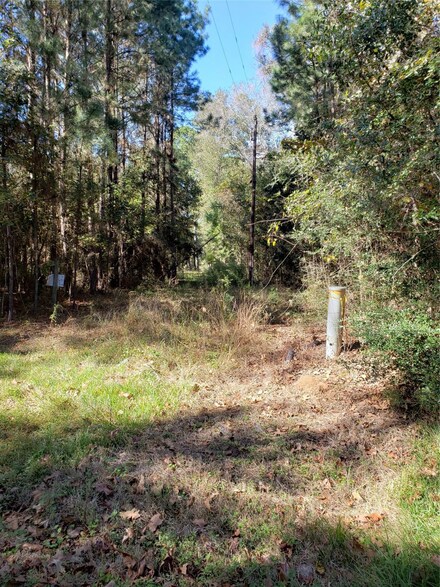 00000 County Road 2097, Ames, TX 77575