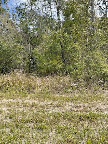 14139 Pigeon Rd, Hudson, FL 34669