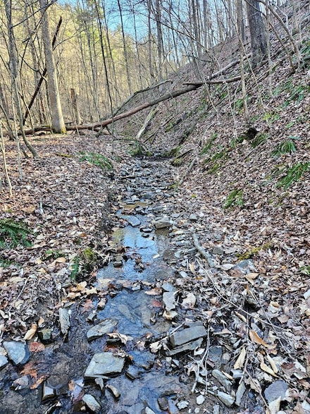 - Ripka Rd, Juniata Township, PA 16652