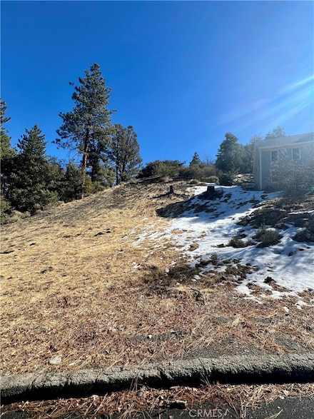 5411 Shirley J Ln, Wrightwood, CA 92397