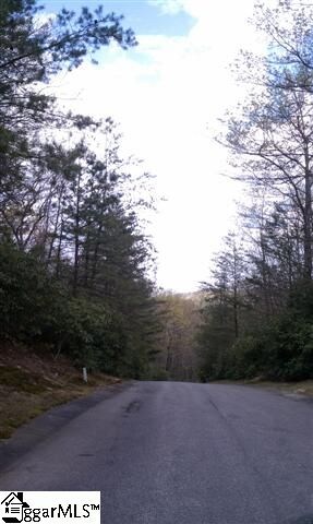 207 Conifer Falls Rd, Cleveland, SC 29635