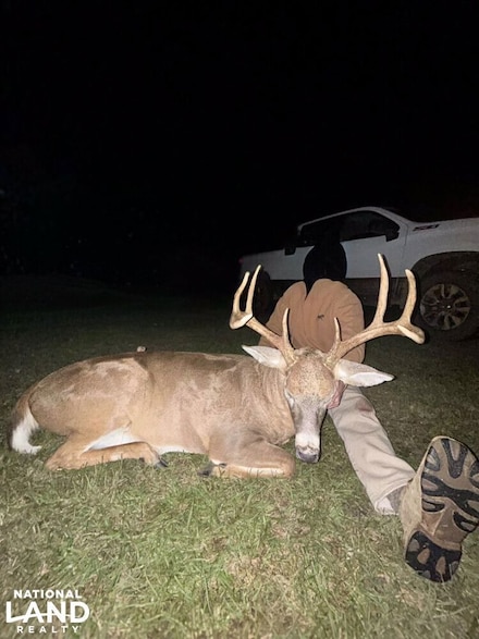 0 Wallace Buie Rd, Webb, AL 36376