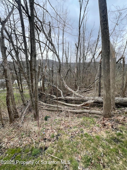 0 High St, Susquehanna, PA 18847