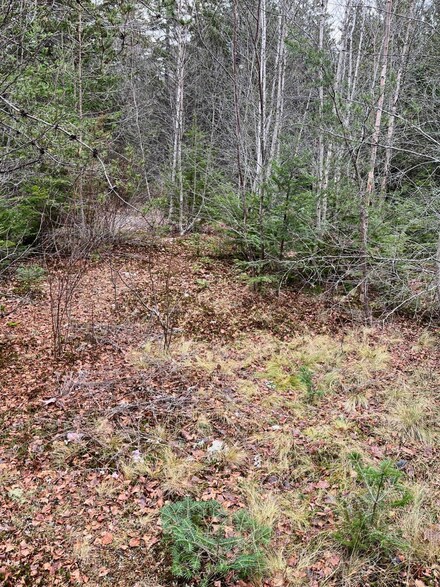 179 Birch Harbor Rd, Winter Harbor, ME 04693