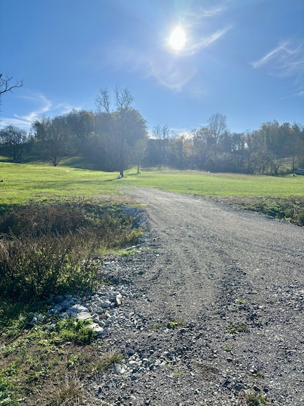 0 John Brinkley Rd, Shelbyville, TN 37160