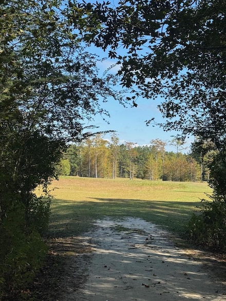 0 Russell Rd, Samson, AL 36477