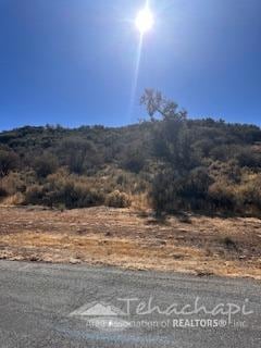 0 Alps Dr Unit 9991794, Tehachapi, CA 93561