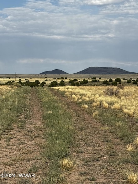 E Cr 3232, Concho, AZ 85924