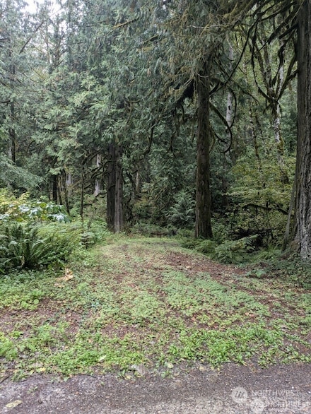 0 Cascade Park D1-68 Place Unit D1L68 NWM2322539, Marblemount, WA 98267