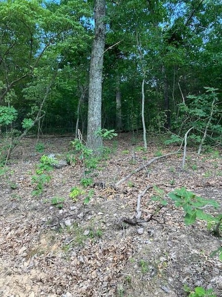 21 Simms Rd, Park Hills, MO 63601