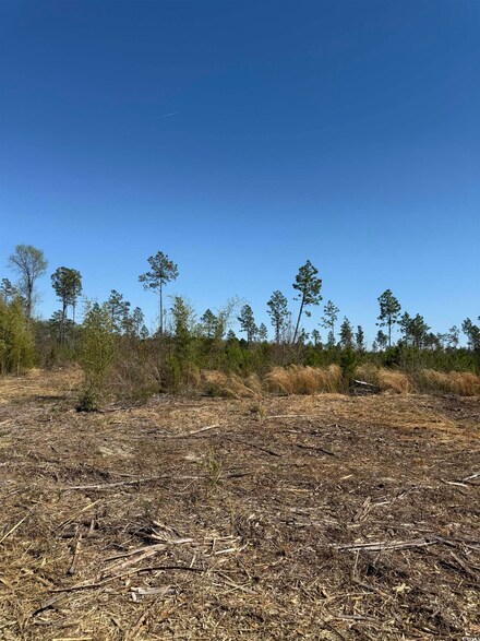 TBD Mincey Dr Unit TR 7-A, Loris, SC 29569