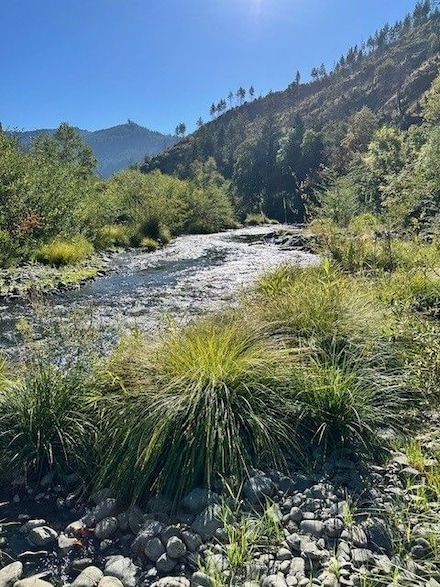 0 Cow Creek Rd Unit 25286983, Riddle, OR 97469