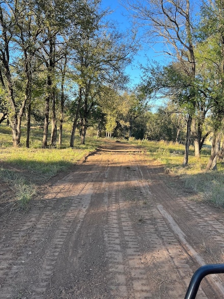 635 Big Valley Cir, Lipan, TX 76462