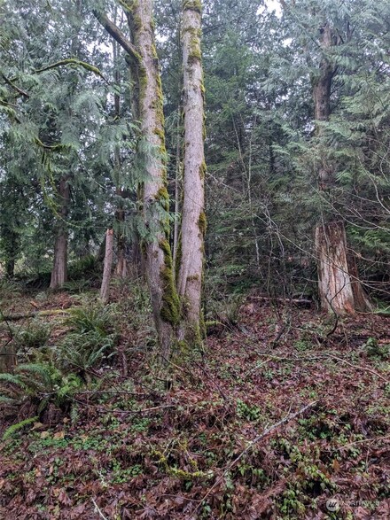 0 West Rd, Sedro Woolley, WA 98284