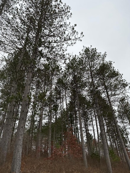 ON Wood Rd Unit 4069-21, Tomahawk, WI 54487