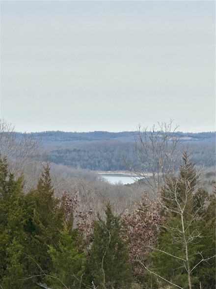 11730 Highway 62 E, Henderson, AR 72544